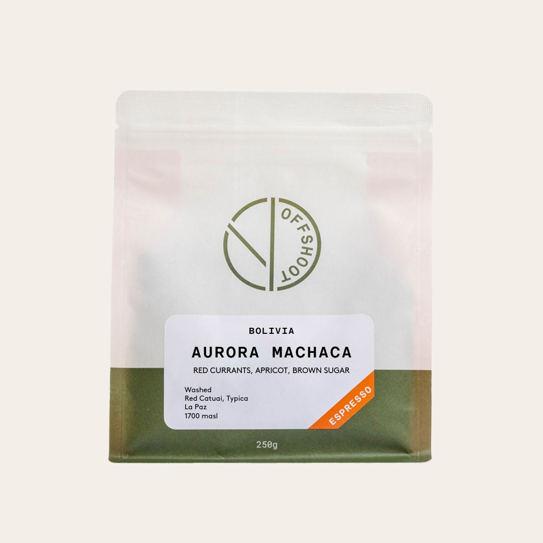 Aurora Machaca