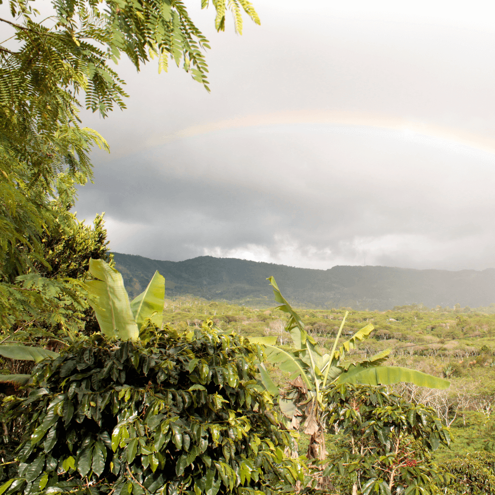 Barokah Kerinci