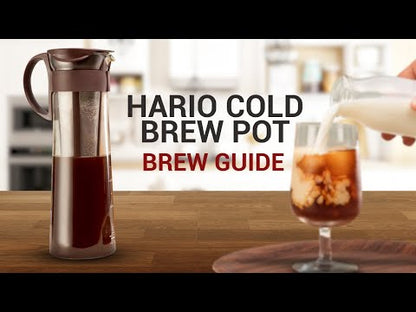Cold Brew Brewer Hario "Mizudashi" - Black
